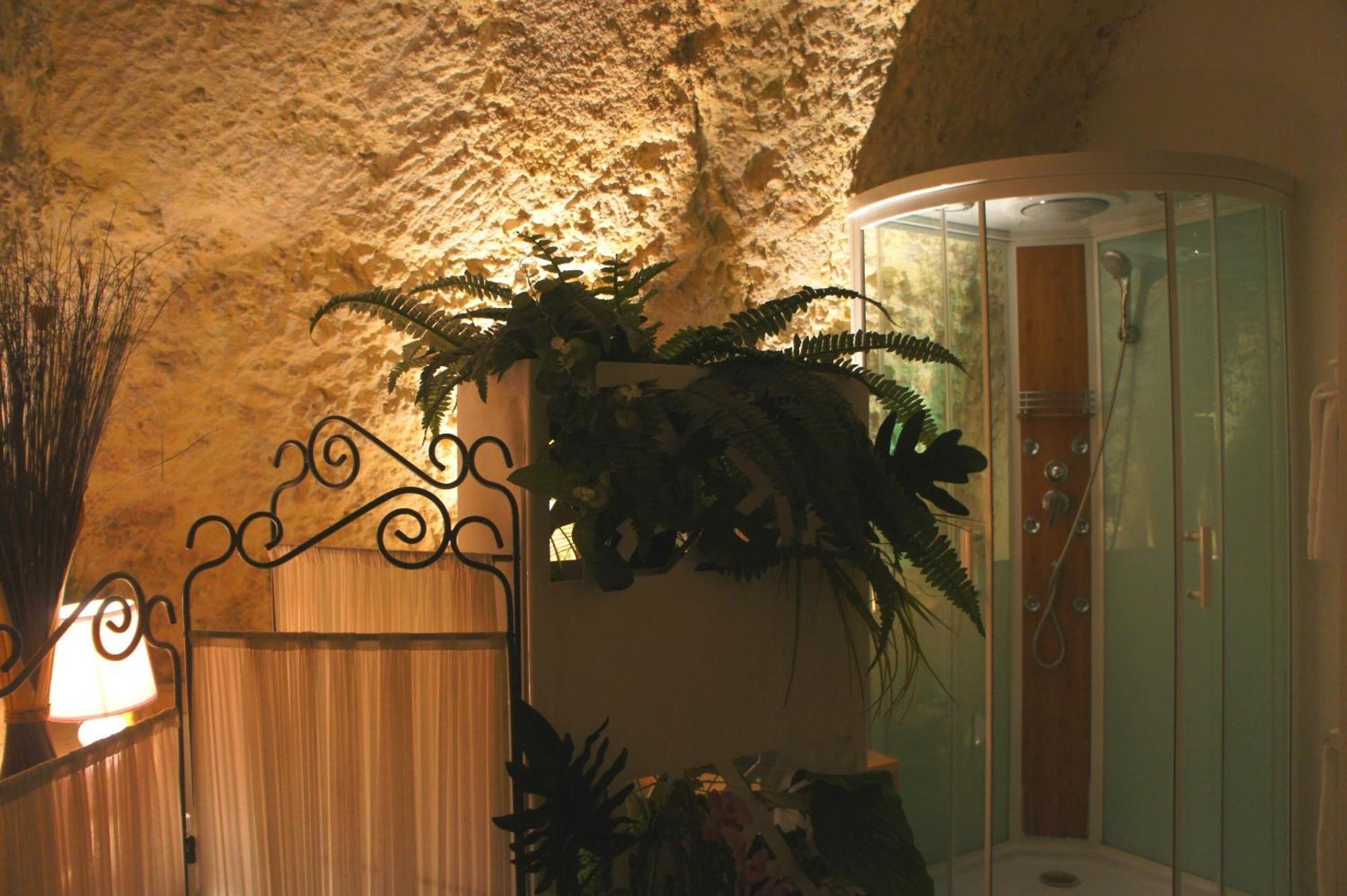 אמבואה Chambres D'Hotes Troglodytes Le Clos De L'Hermitage מראה חיצוני תמונה